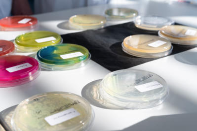 tentamus microbiology petry dish