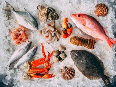 Fisch-Meeresfrüchte-Analyse-Tentamus