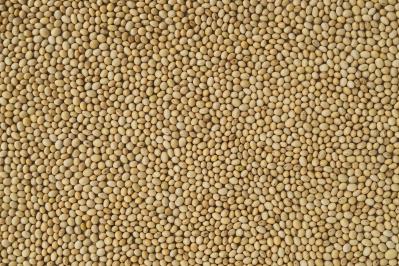 Residue Testing Legumes