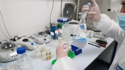 Preparing PCR